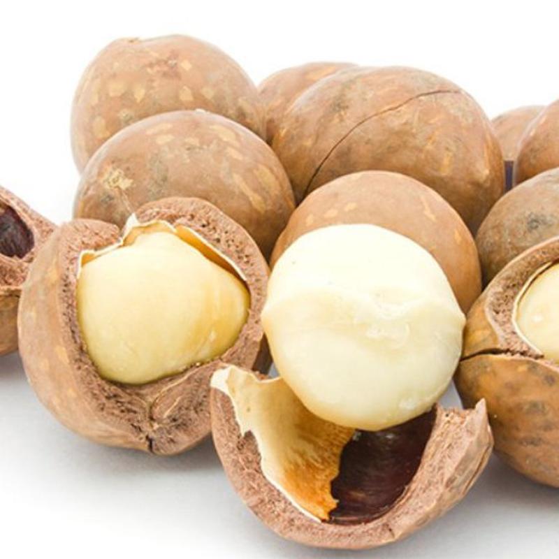 Nutritional Value of Macadamia Nuts You Should Know