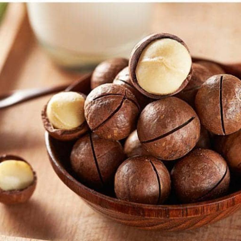 What Effects Do Macadamia Nuts Have? Uses Of Macadamia Nuts