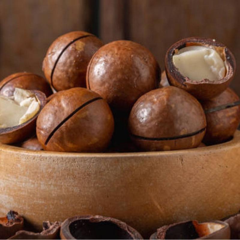 5 Reasons Should Buy Macadamia Nuts to Reception Guests During Tet