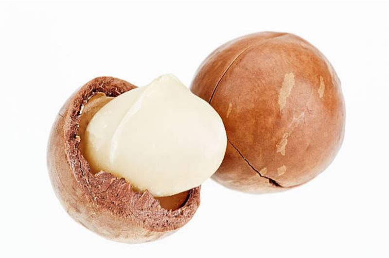 The Secret to Choosing the Right Quality Macadamia Nuts