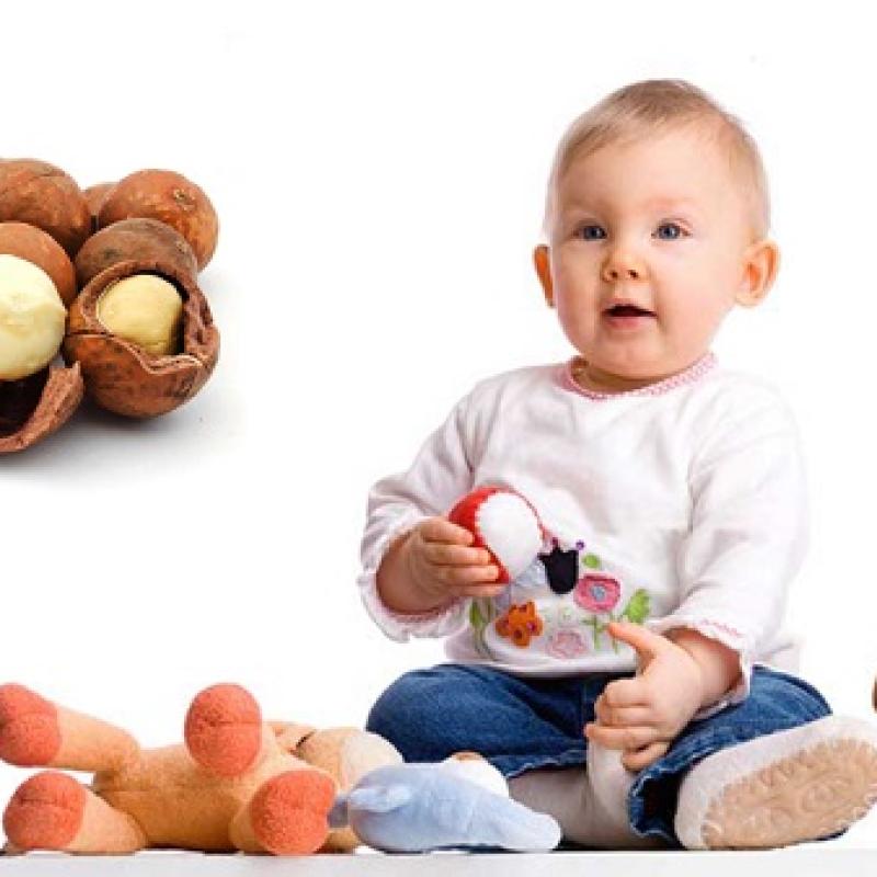 How to Prepare Macadamia Nuts for Babies to Ensure Nutrition