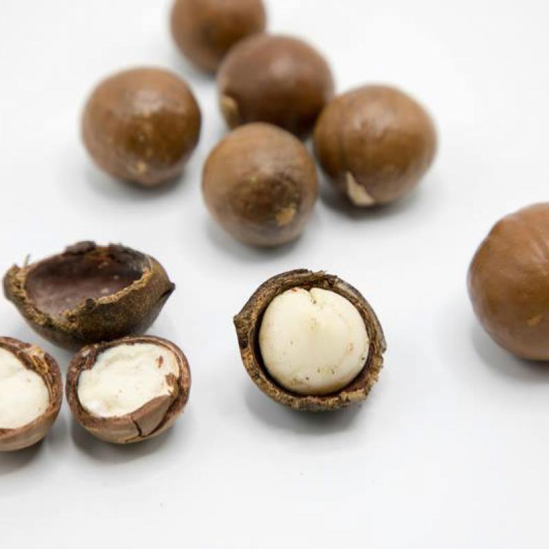 The Most Accurate Way to Identify Damaged Macadamias