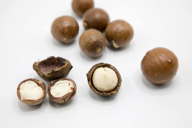 The Most Accurate Way to Identify Damaged Macadamias