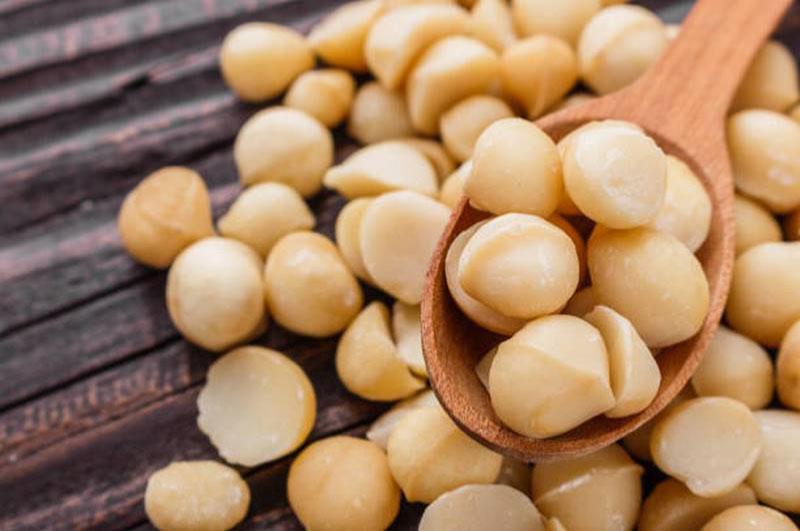 Macadamia Nut Oil: Golden Ingredients You Should Know!