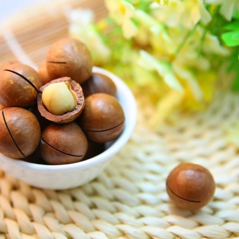 Can Macadamia Nuts Be Dieted?