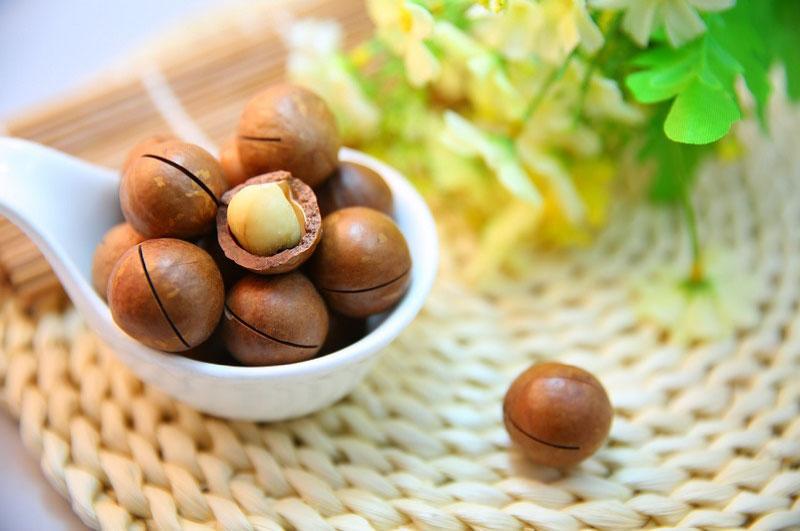 Can Macadamia Nuts Be Dieted?