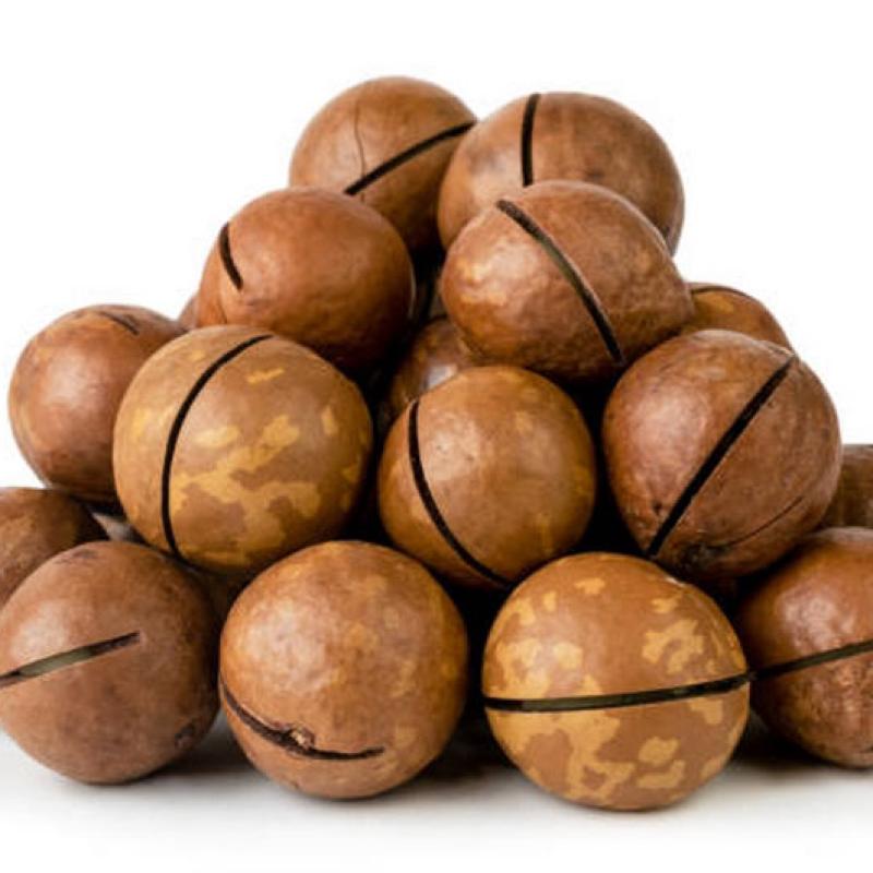 How Long Can Macadamia Nuts Be Stored? Tips To Keep Macadamia Nuts Fresh