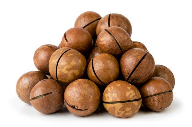 How Long Can Macadamia Nuts Be Stored? Tips To Keep Macadamia Nuts Fresh