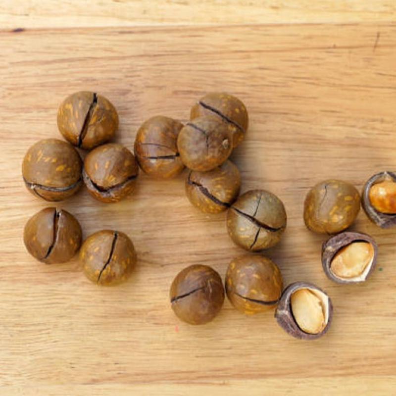 Where Is The Best Macadamia Nut? Useful Tips For You!