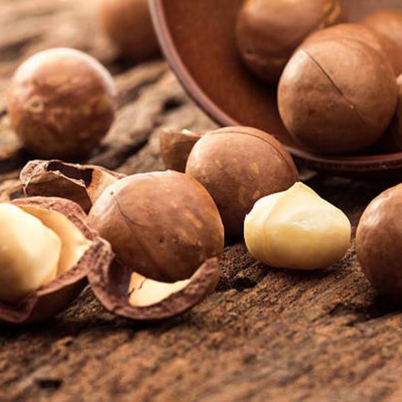 Advice: How Many Macadamia Nuts Should You Eat Per Day?