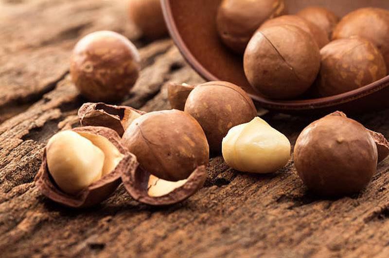 Advice: How Many Macadamia Nuts Should You Eat Per Day?