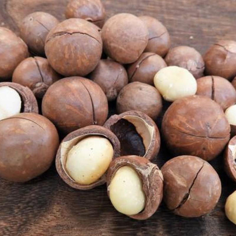 Answer: Should Buy Shelled or Unshelled Macadamia Nuts?