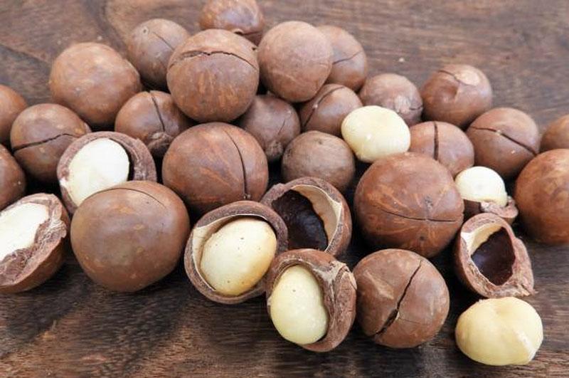 Answer: Should Buy Shelled or Unshelled Macadamia Nuts?