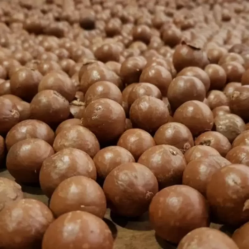 Why Are Macadamia Nuts Expensive? Explanation of Cause